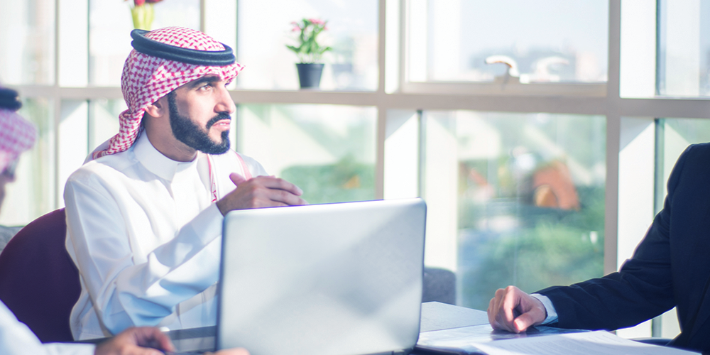 خدمات استشارات حكومية